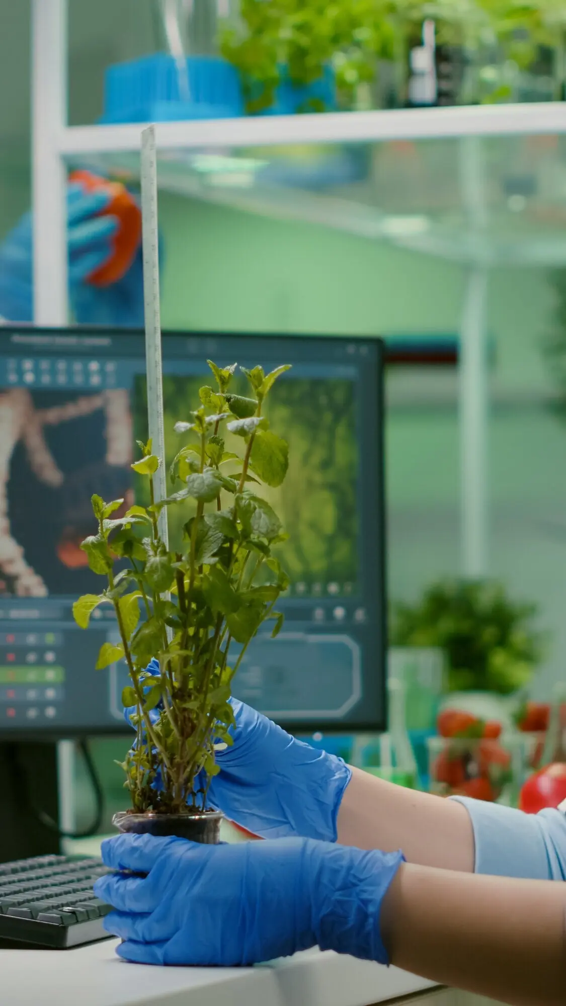 Женщина-исследователь измеряет эко-саженец, одновременно наблюдая биологическую трансформацию.