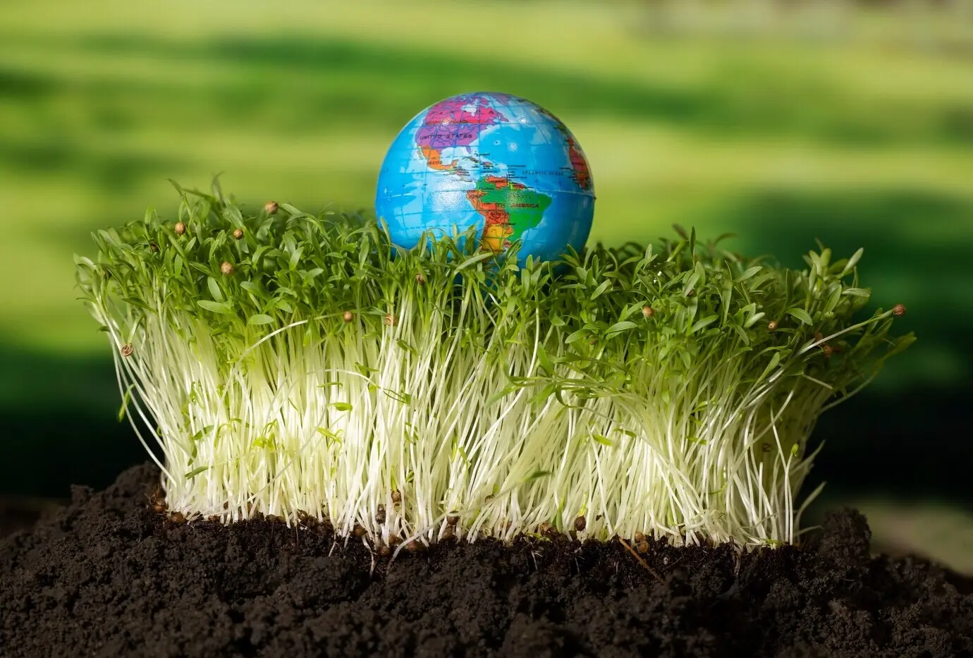 Пожалуйста, предоставьте исходный текст описания, которое нужно перефразировать на русском.